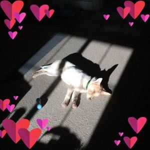 Meet your Posher, Pete